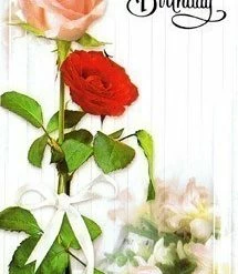 Wholesale ???? Hi ???? Birthday - Twin Roses ✔️