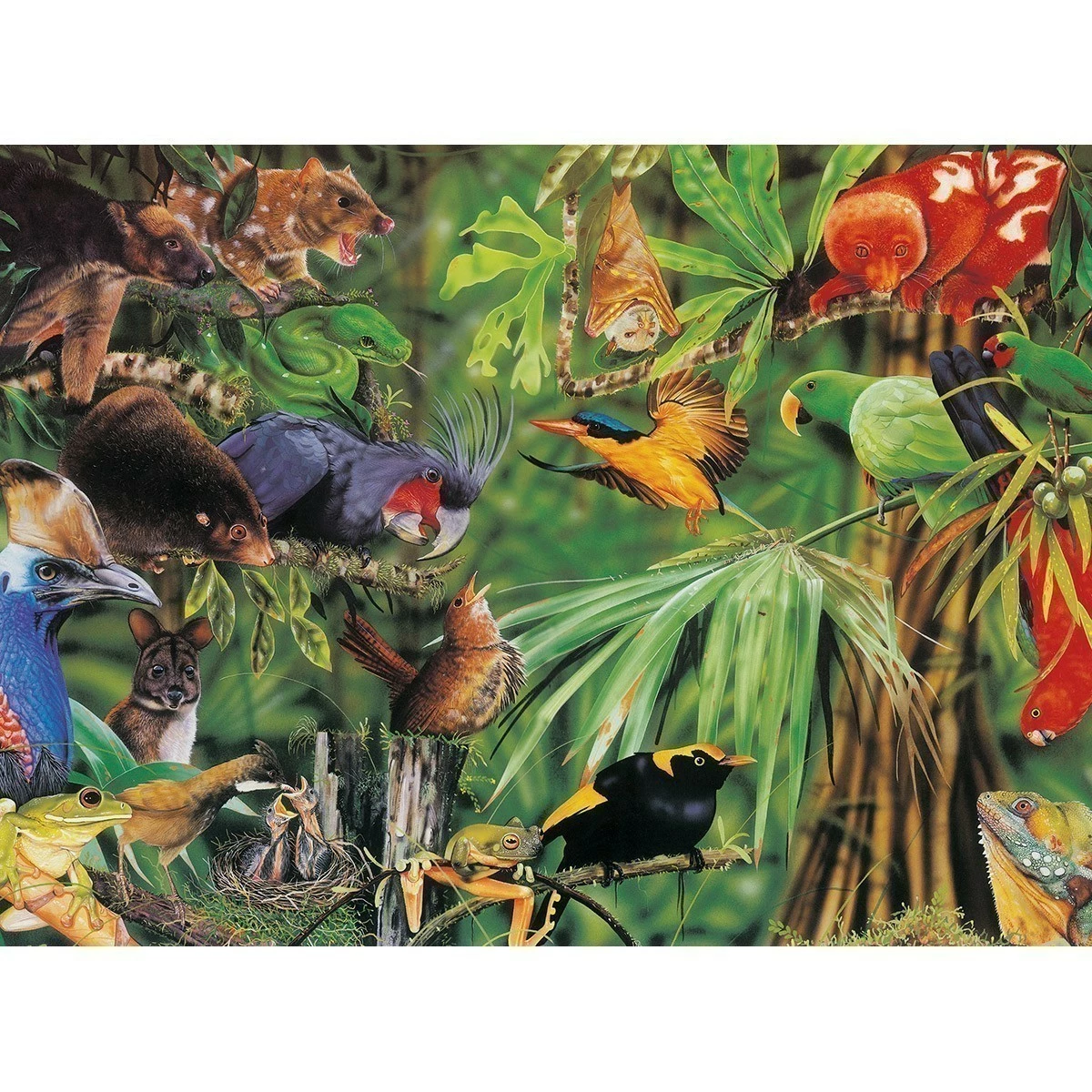 Cheap ???? Blue Opal - Wild Australia - Magical Rainforest - 150 Piece ???? - Image 2