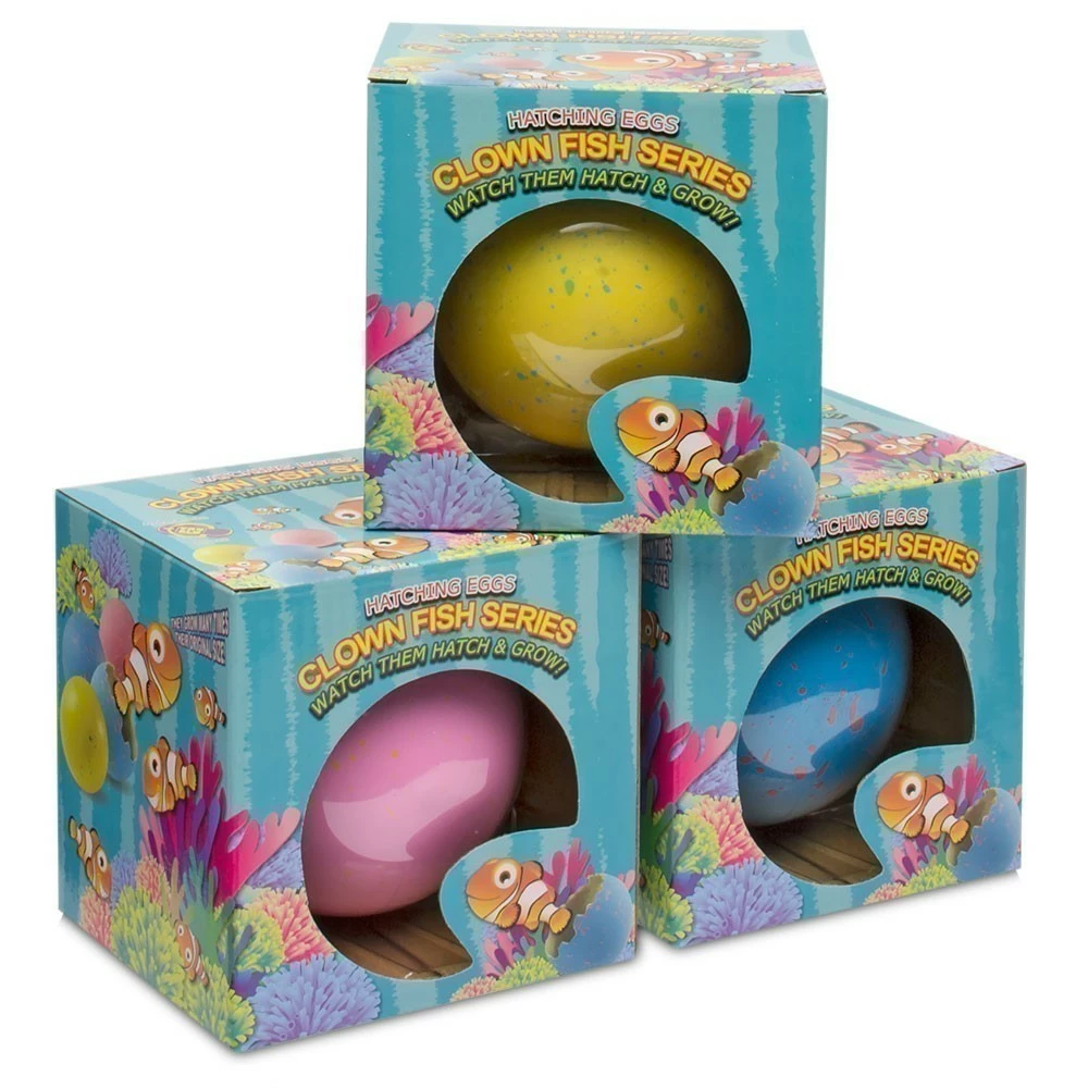 Best Sale ✔️ Clown Fish Hatching Eggs - Large ???? - Image 2